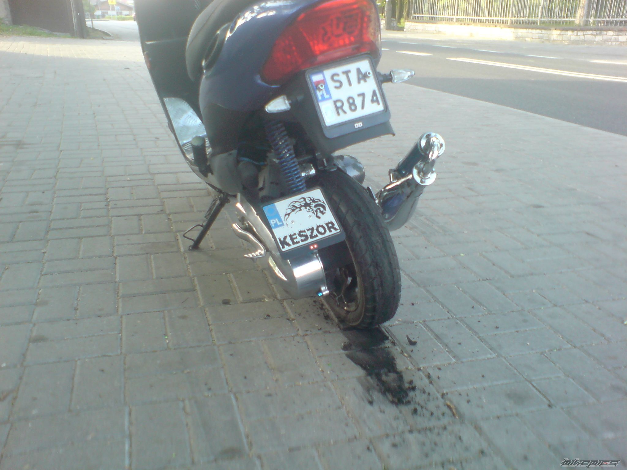 Photo 1305632