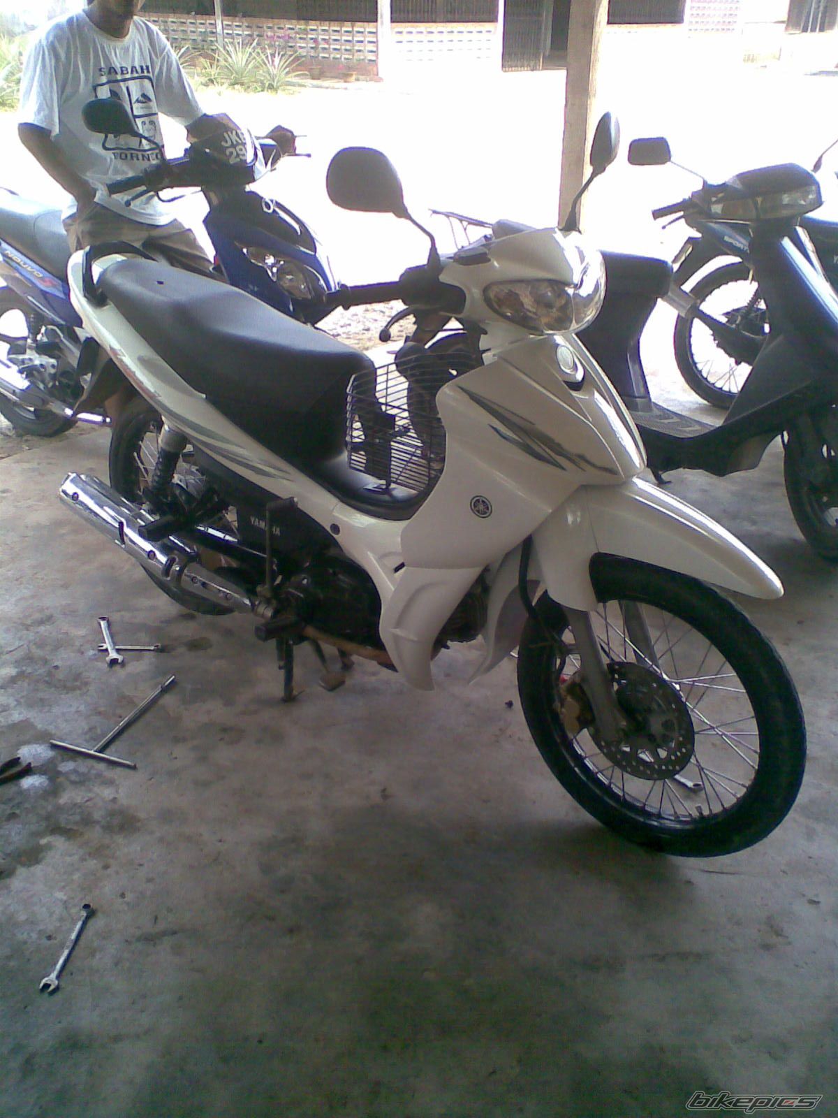 Photo 1305650
