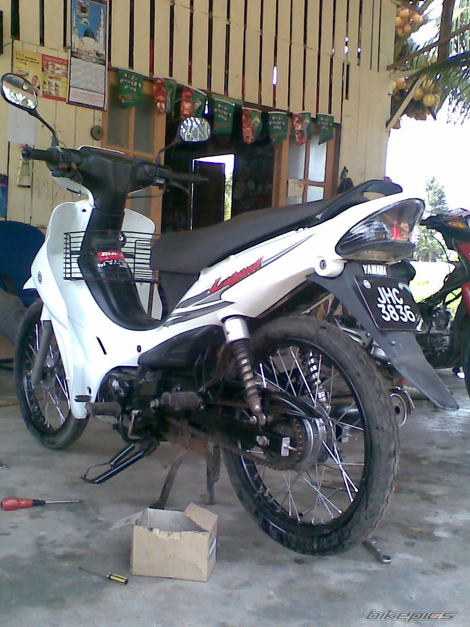 Photo 1305656