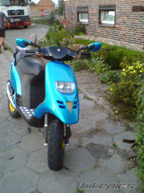 Photo 1305658