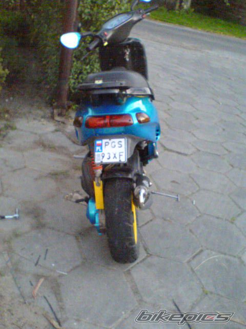 Photo 1305659