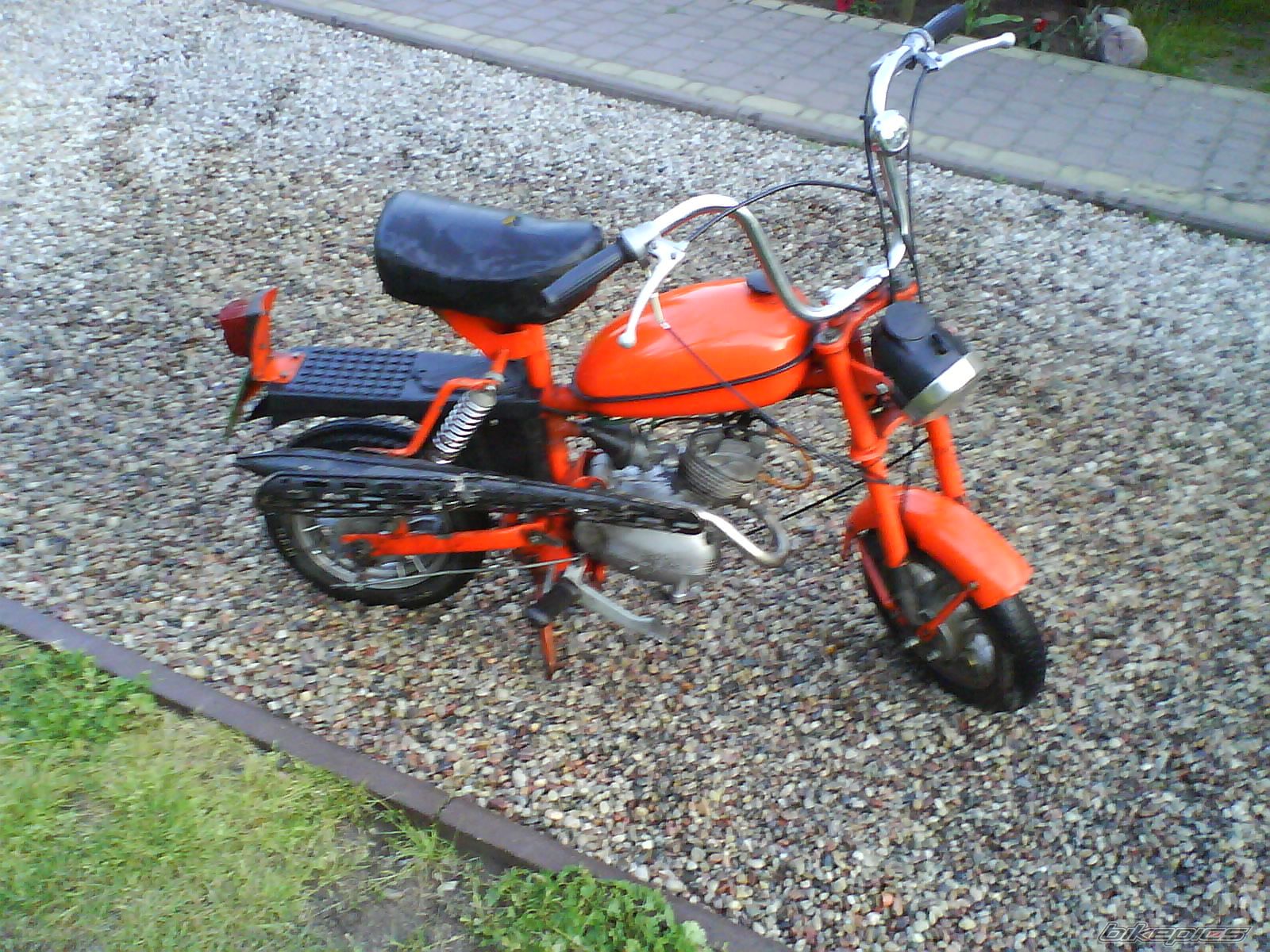 Photo 1305663