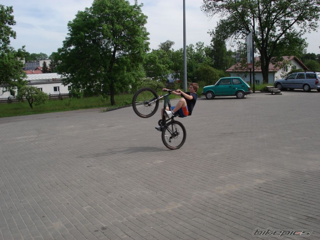 Photo 1305668