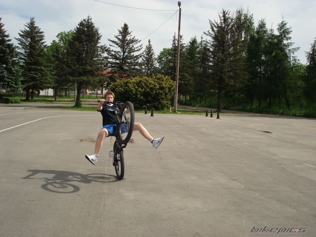 Photo 1305669