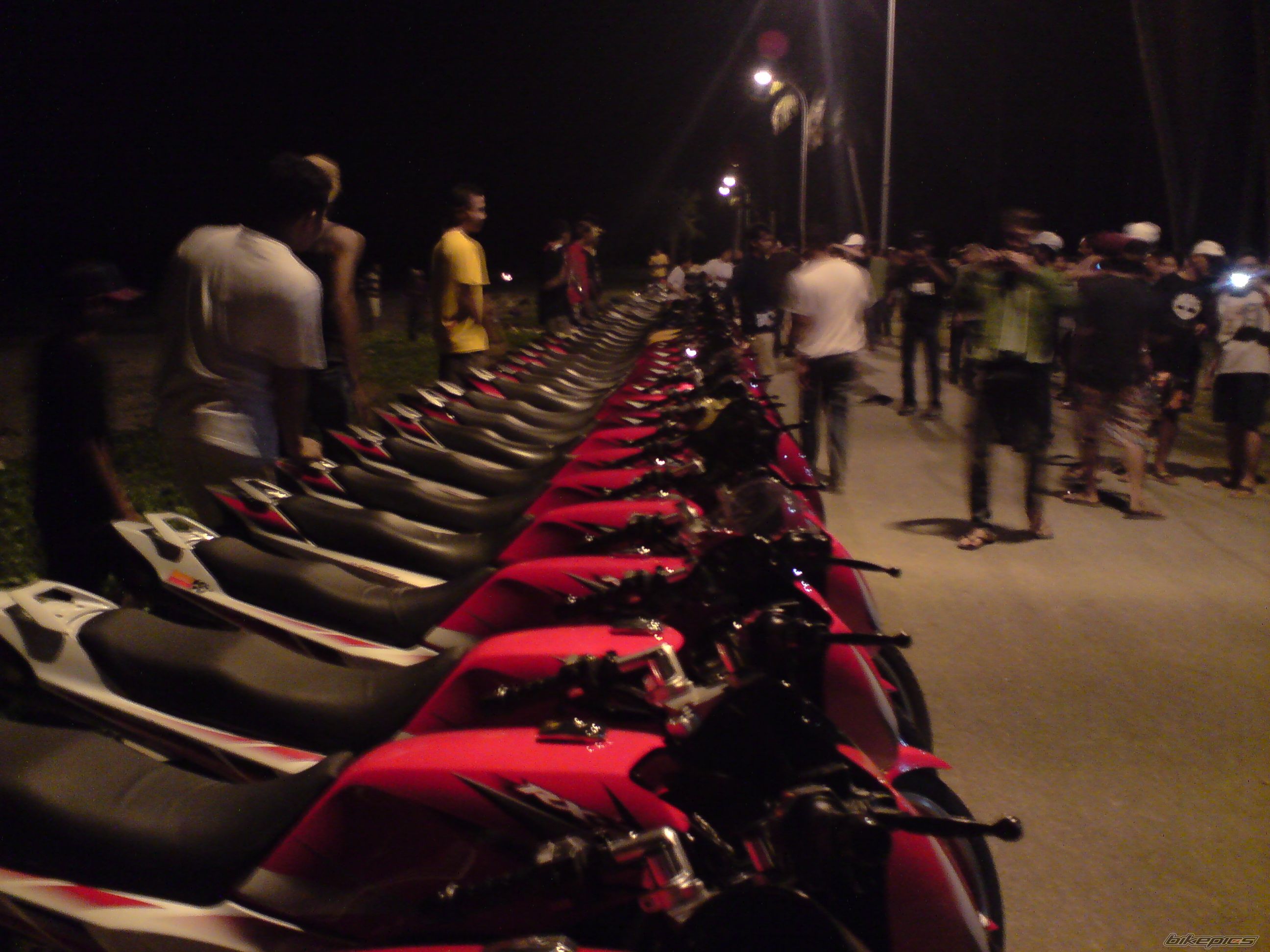 Photo 1305674