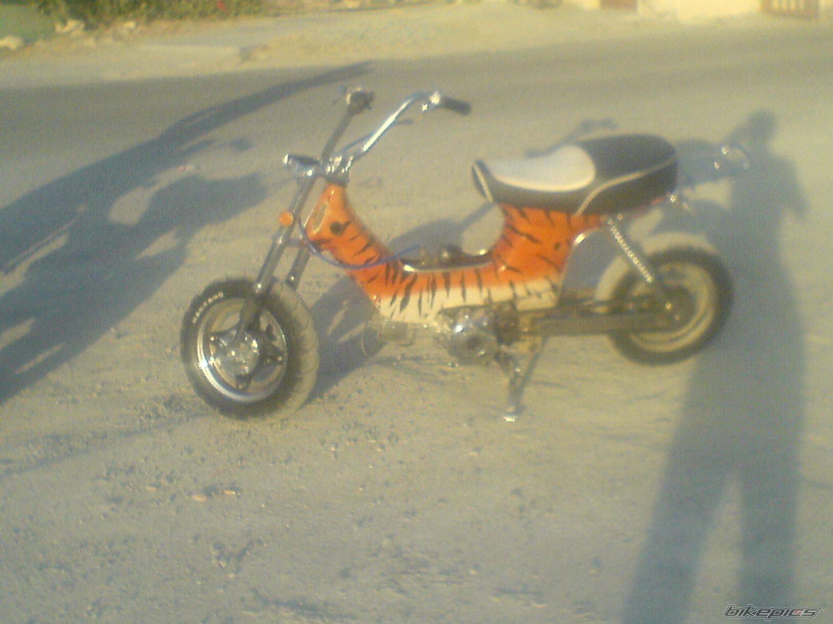 Photo 1305678