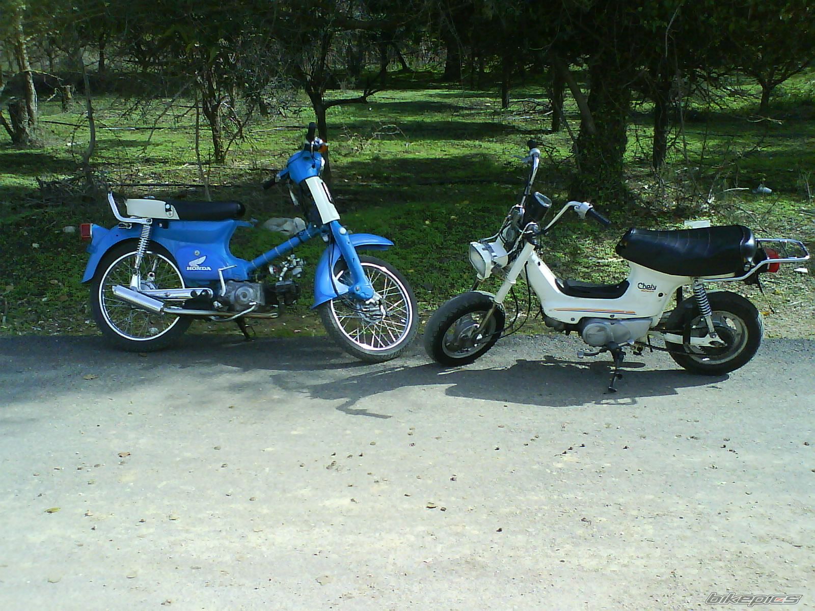 Photo 1305766