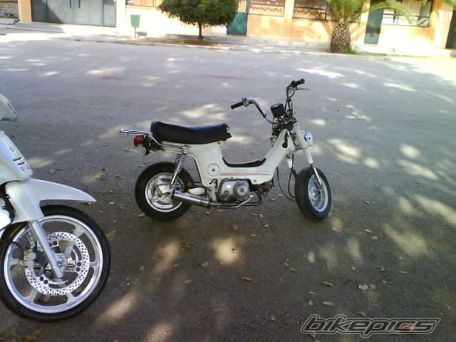 Photo 1305768