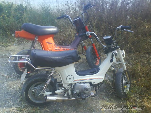 Photo 1305769