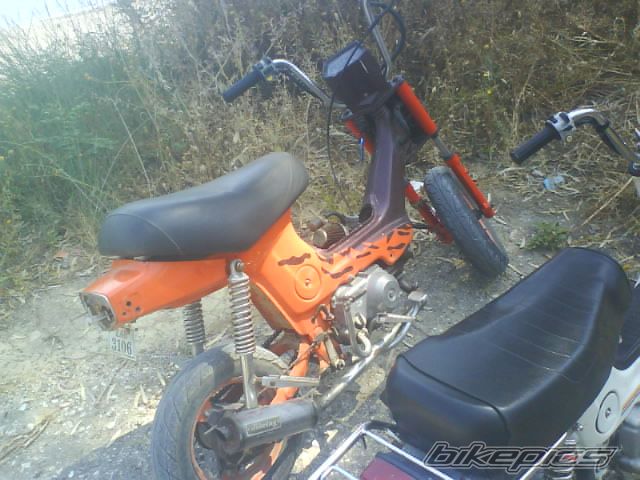 Photo 1305773