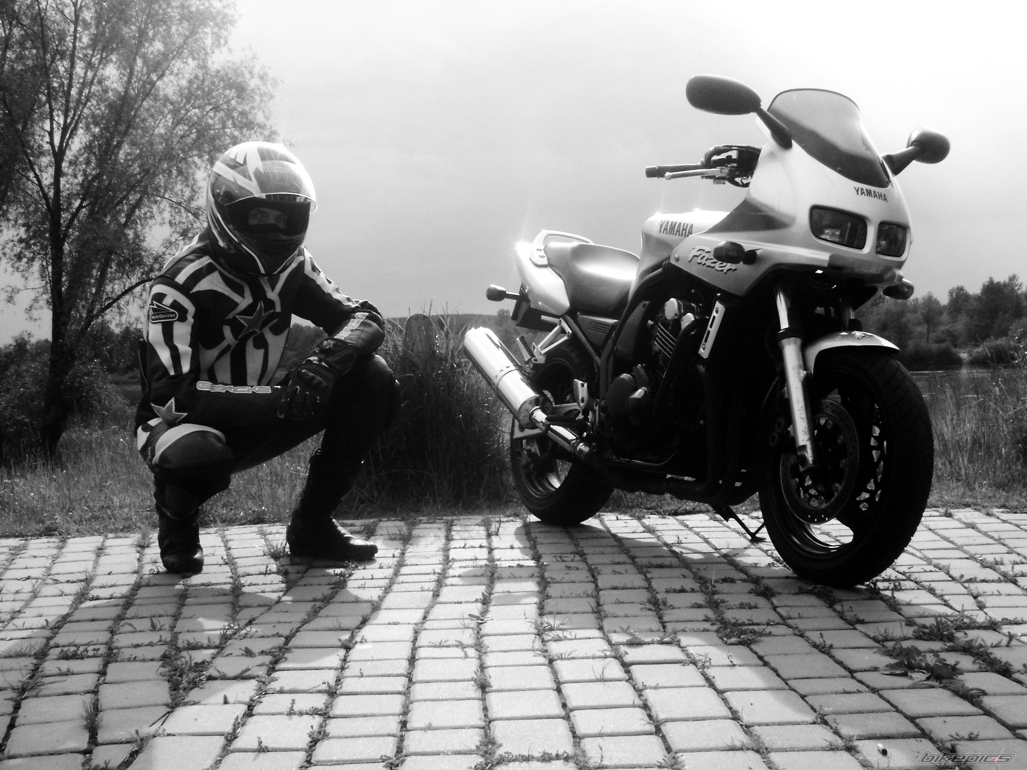 Photo 1305778