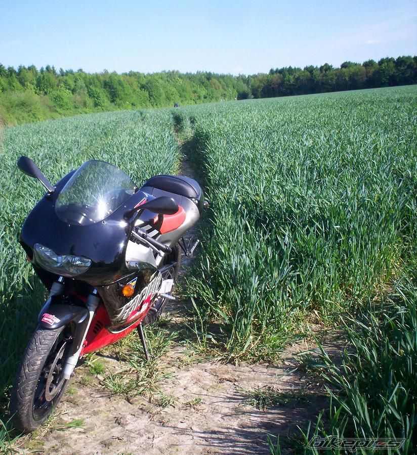 Bike Photo 1305814