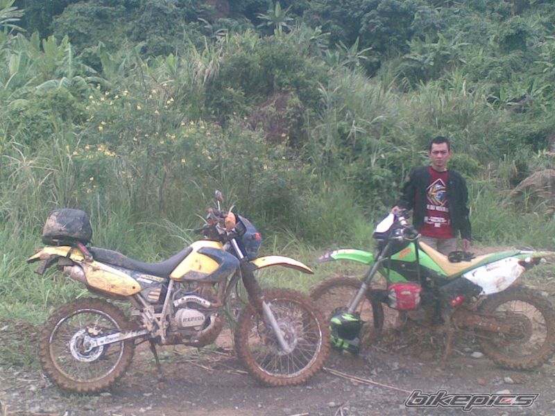 Photo 1305890