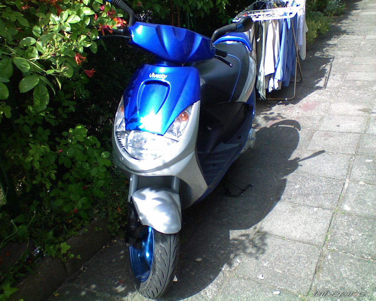 Photo 1305898