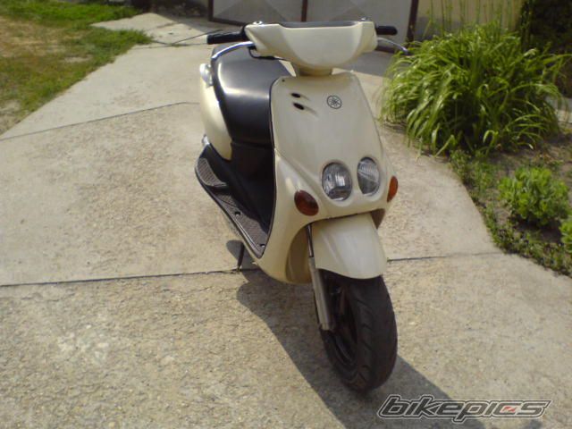Photo 1305952