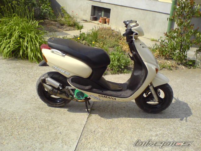 Photo 1305953