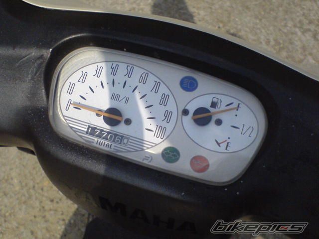 Photo 1305955