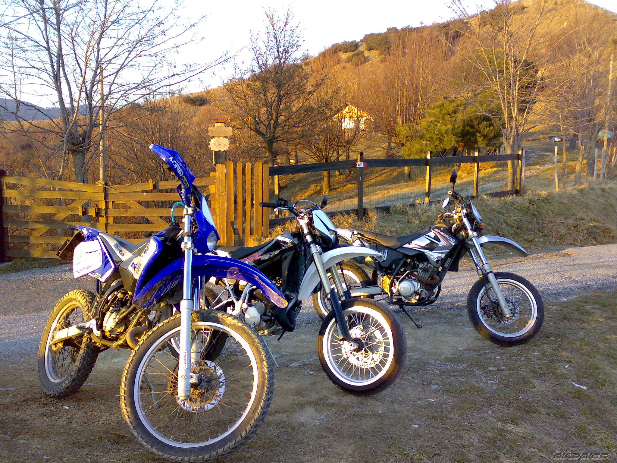 Bike Photo 1305979