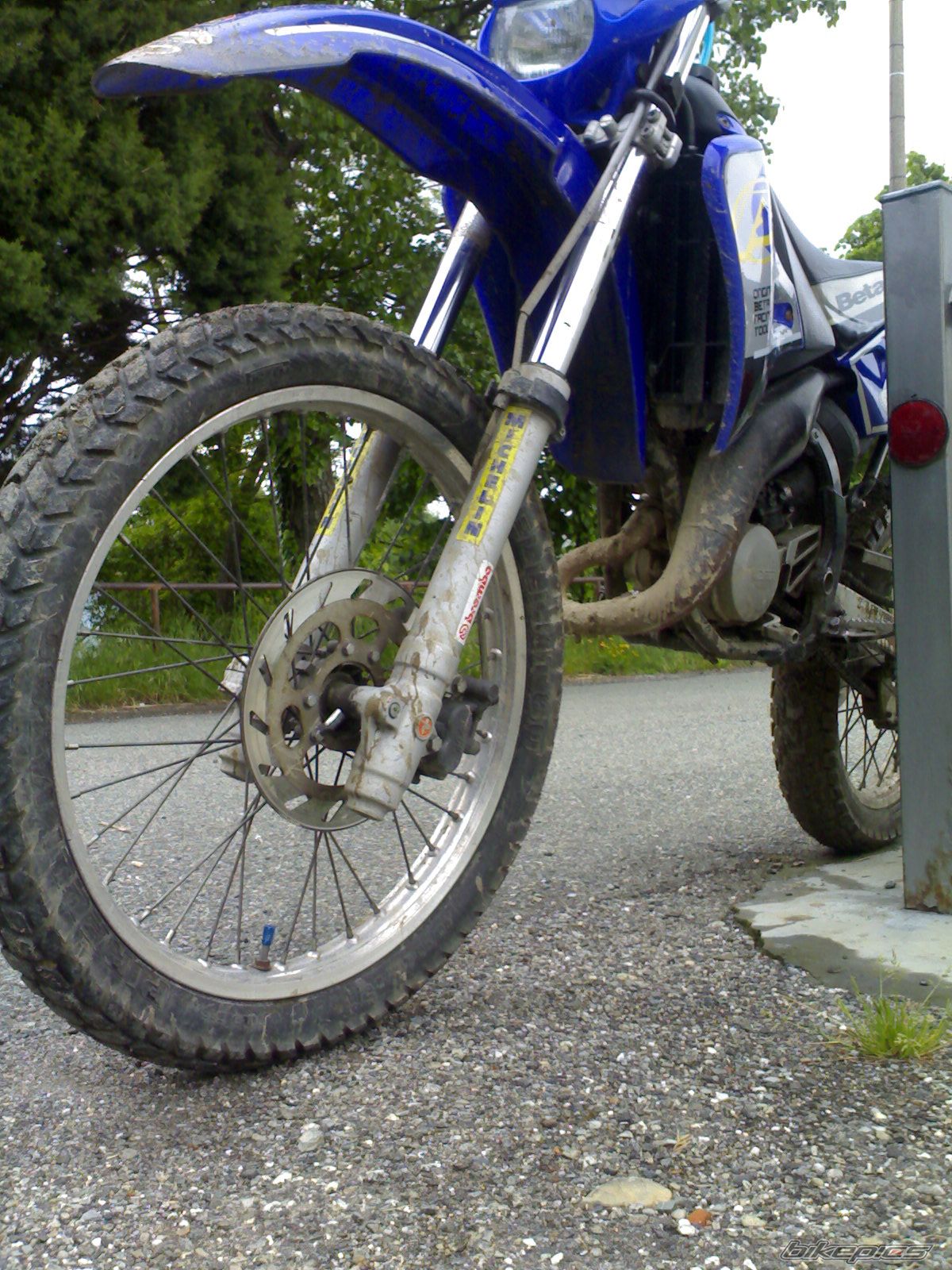 Photo 1305990