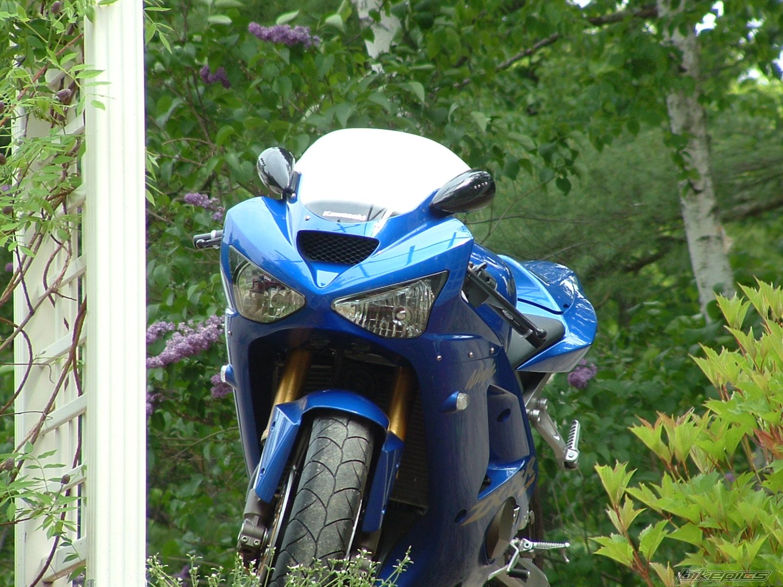 Photo 1306071
