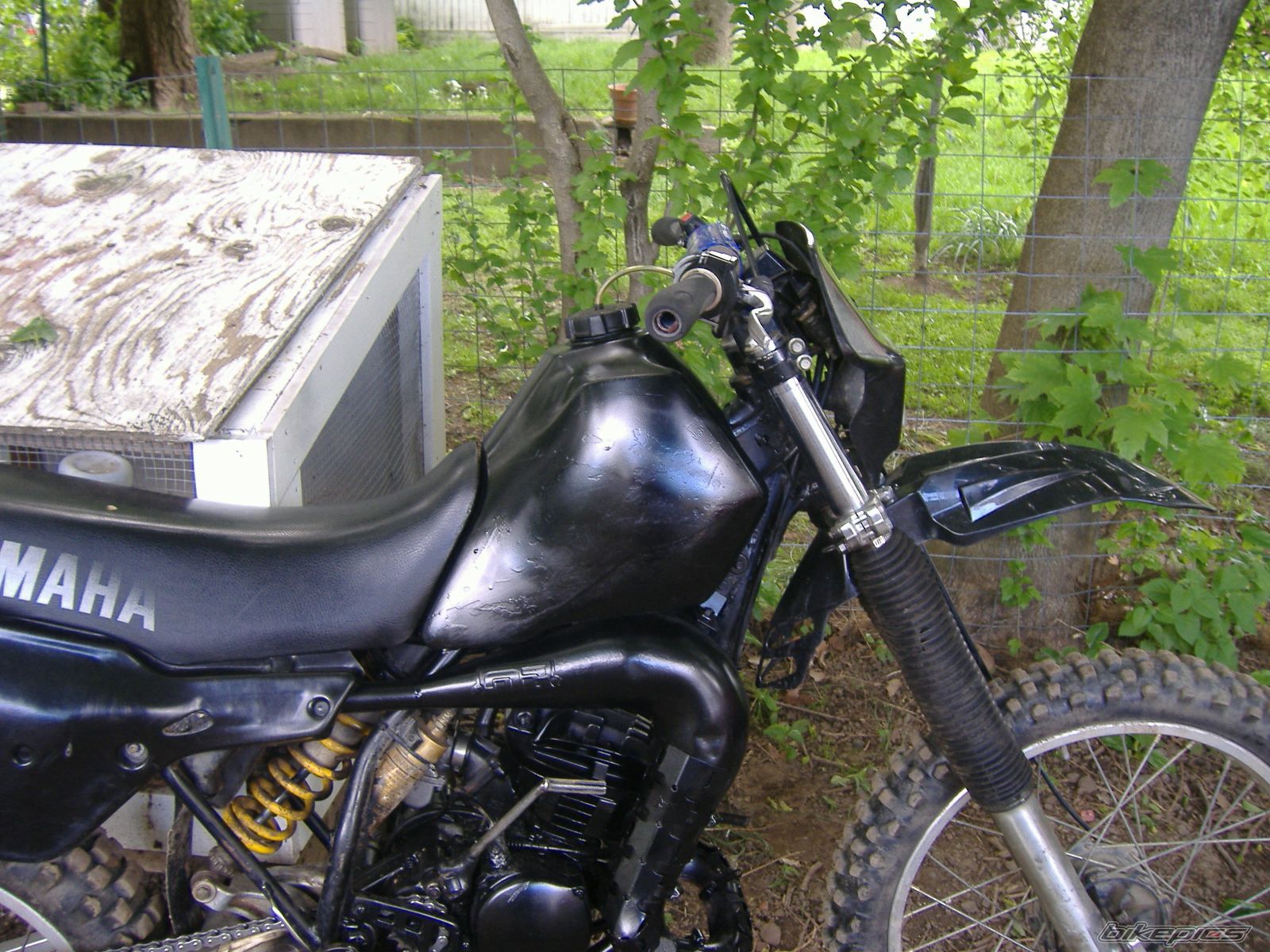 Photo 1306134