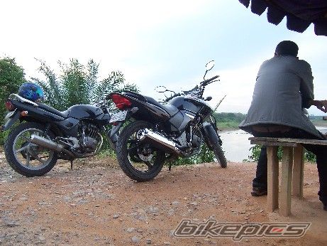 Photo 1306145