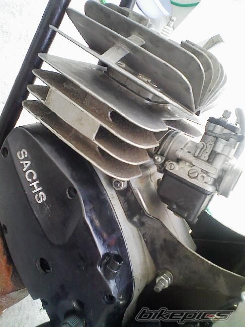Photo 1306146