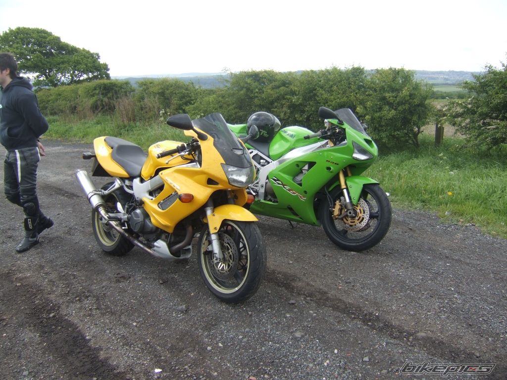 Photo 1306154