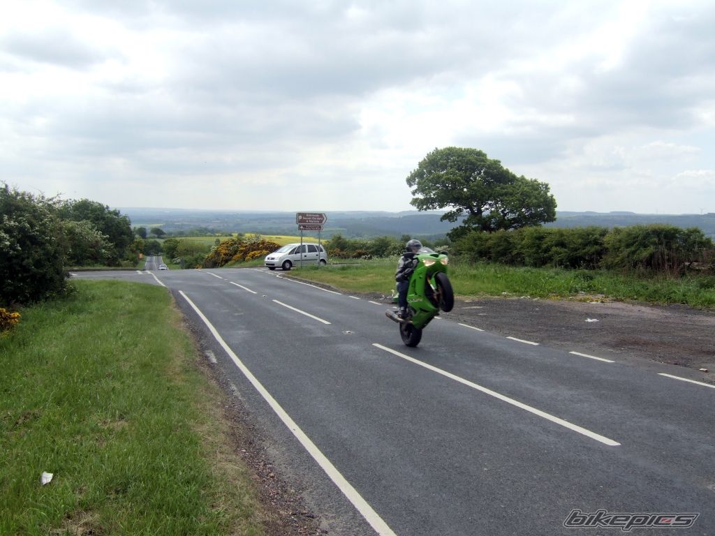 Photo 1306167
