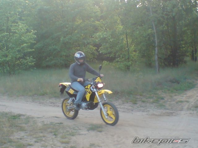 Photo 1306222