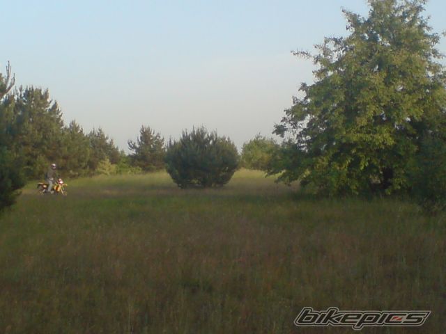 Photo 1306224