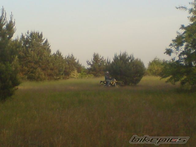 Photo 1306233