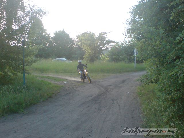 Photo 1306239