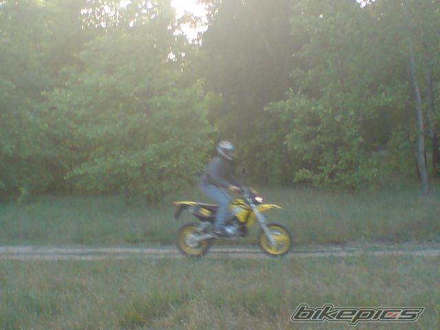 Photo 1306242