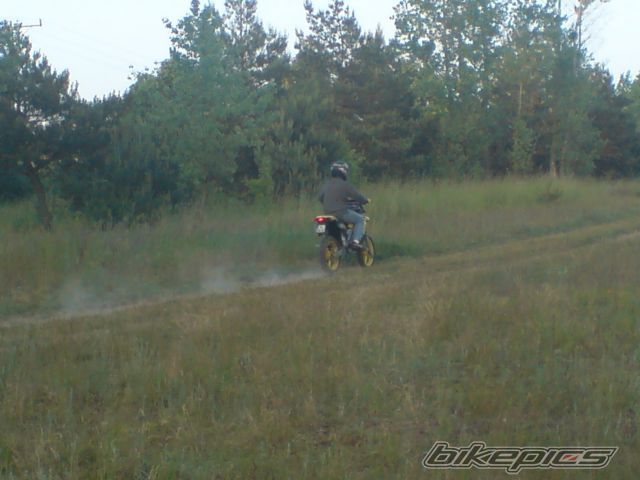 Photo 1306243