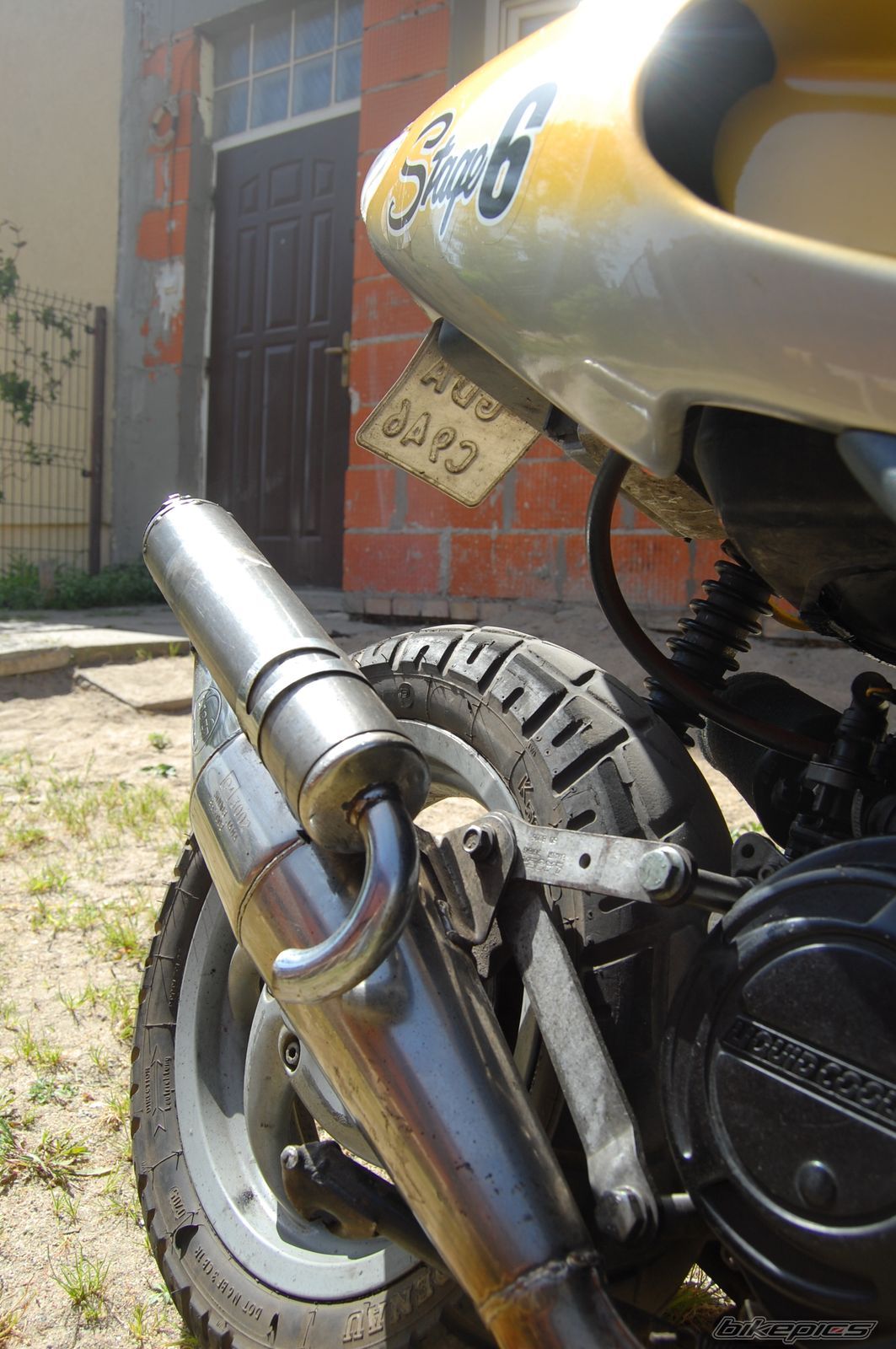 Photo 1306342