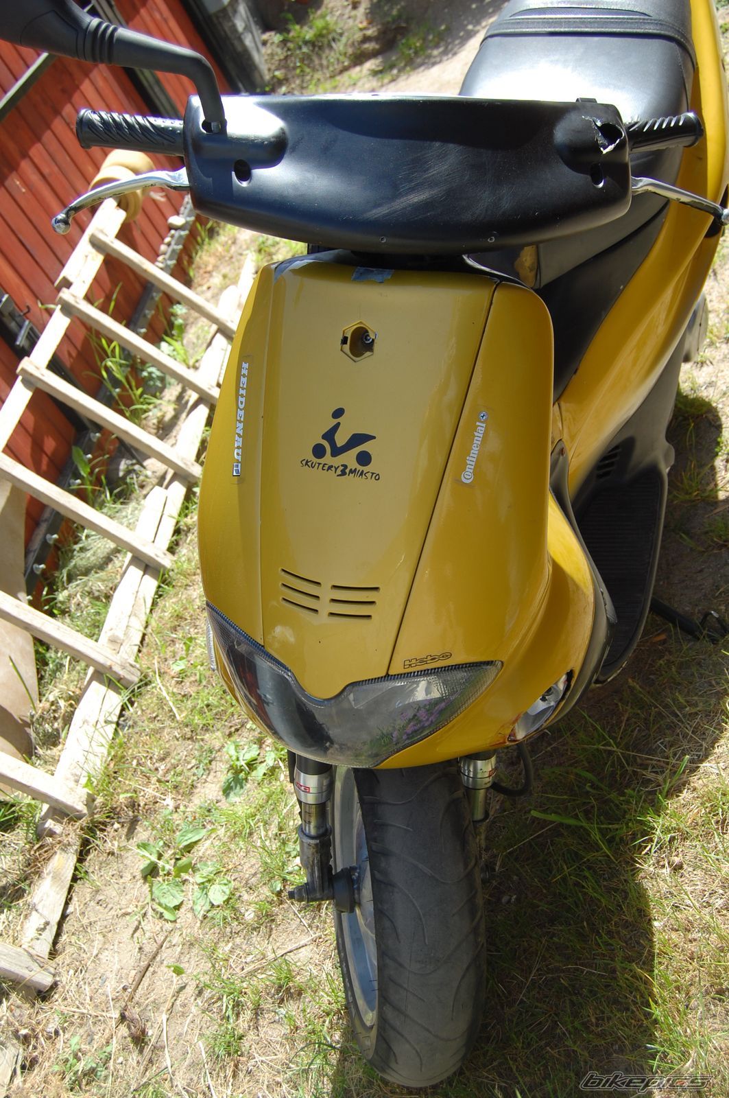 Photo 1306347