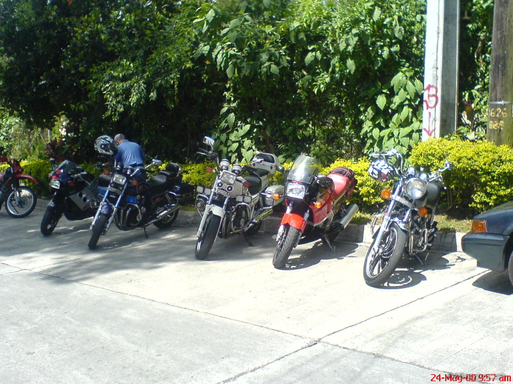Photo 1306398