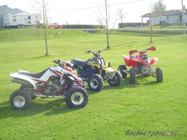 Photo 1306418