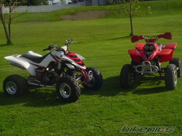 Photo 1306419