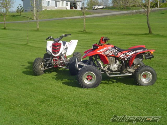 Photo 1306420