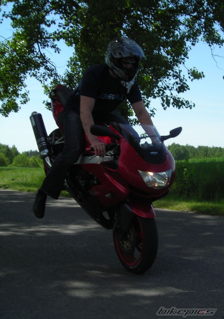 Photo 1306429