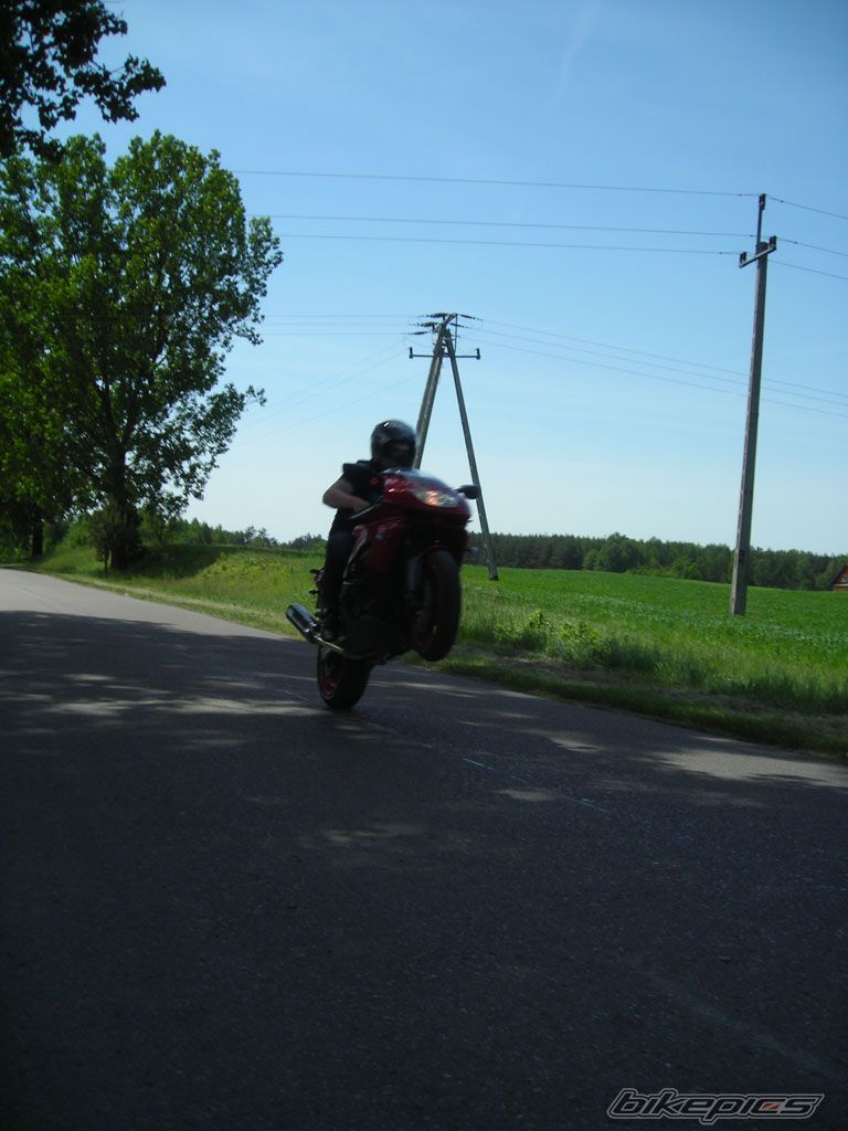 Photo 1306430