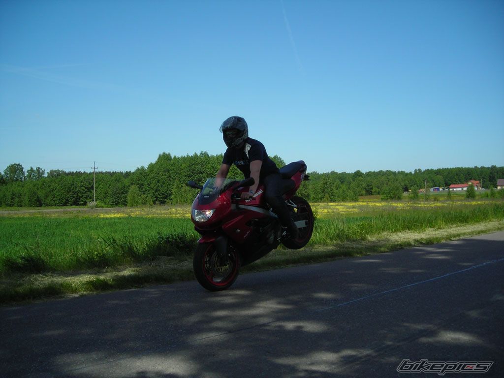 Photo 1306431