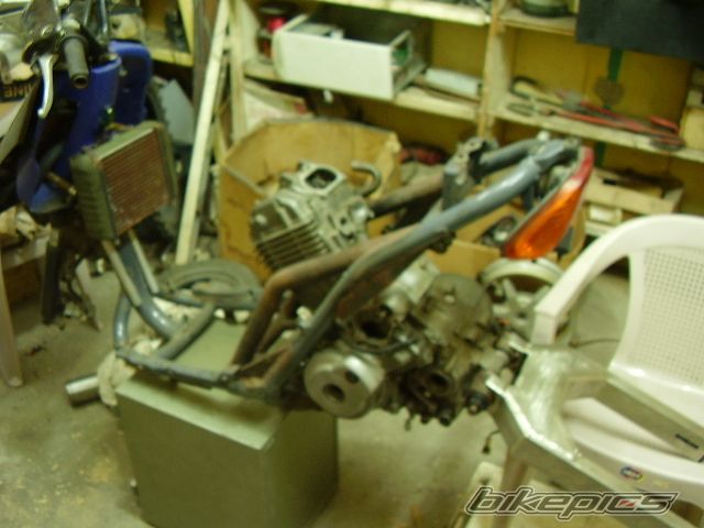 Photo 1306500