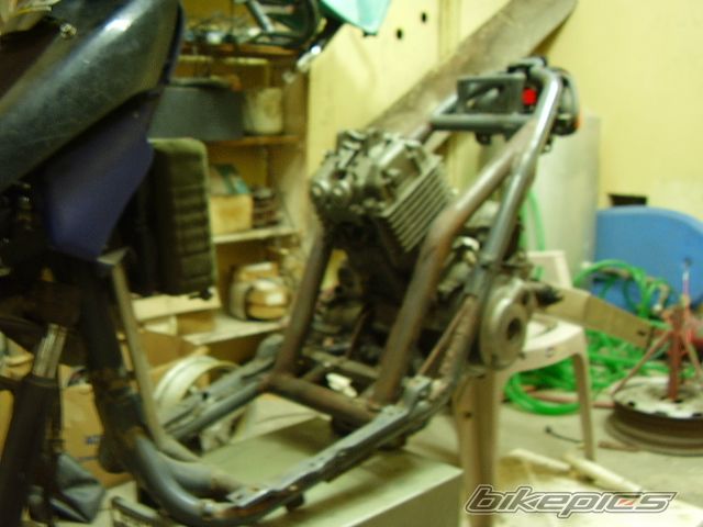 Photo 1306502