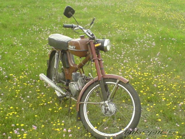 Photo 1306518