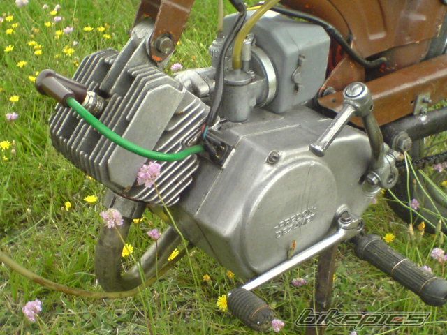 Photo 1306525