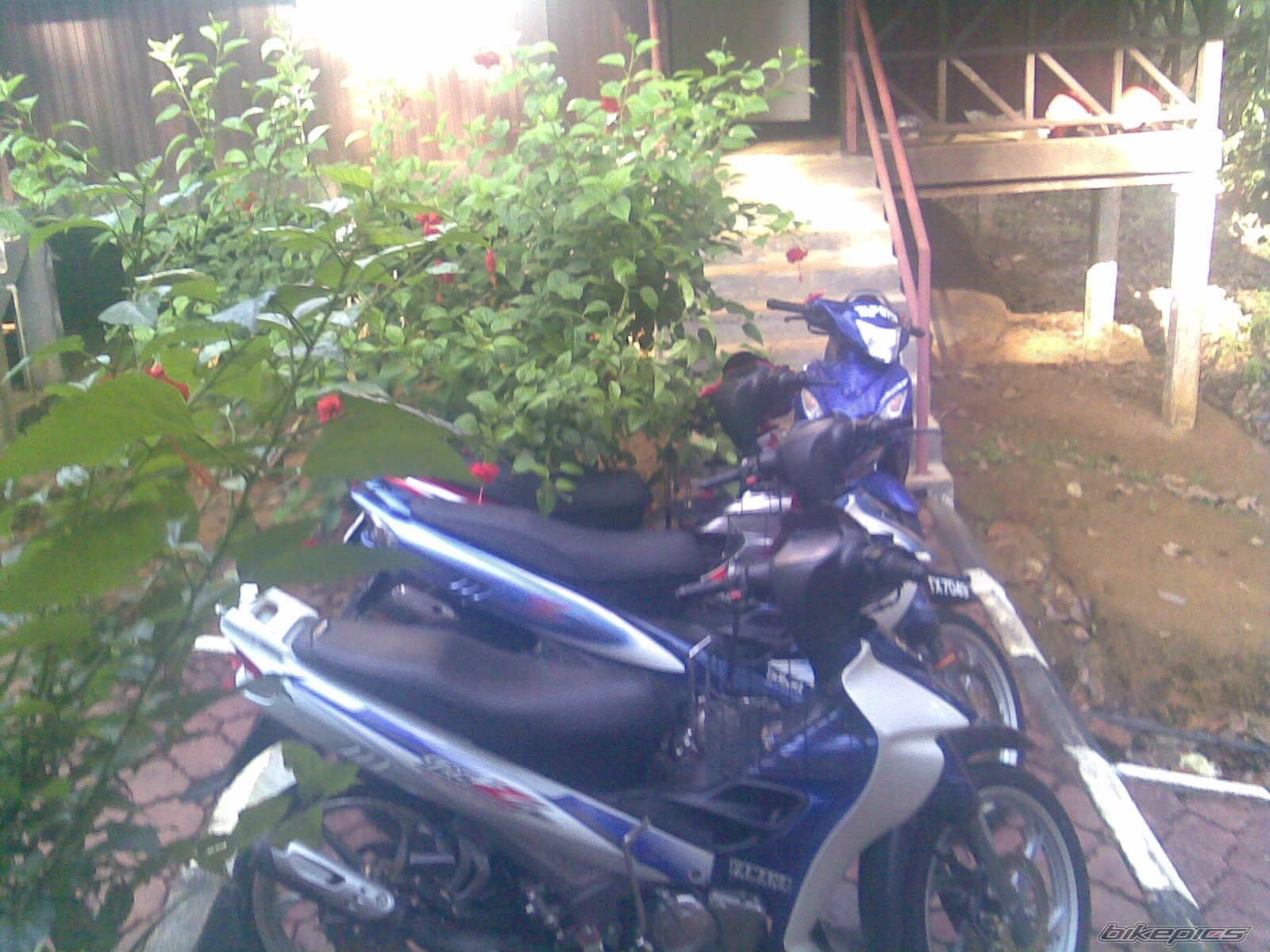 Photo 1306586