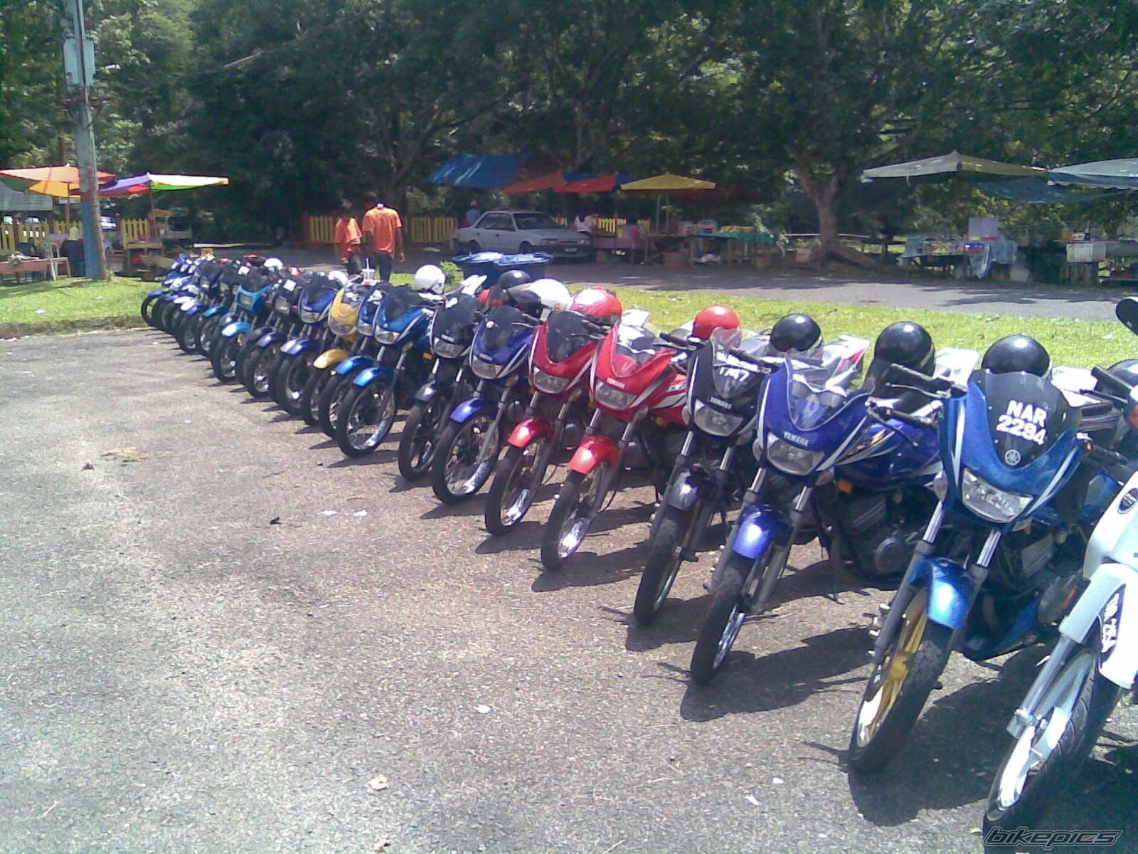 Photo 1306594